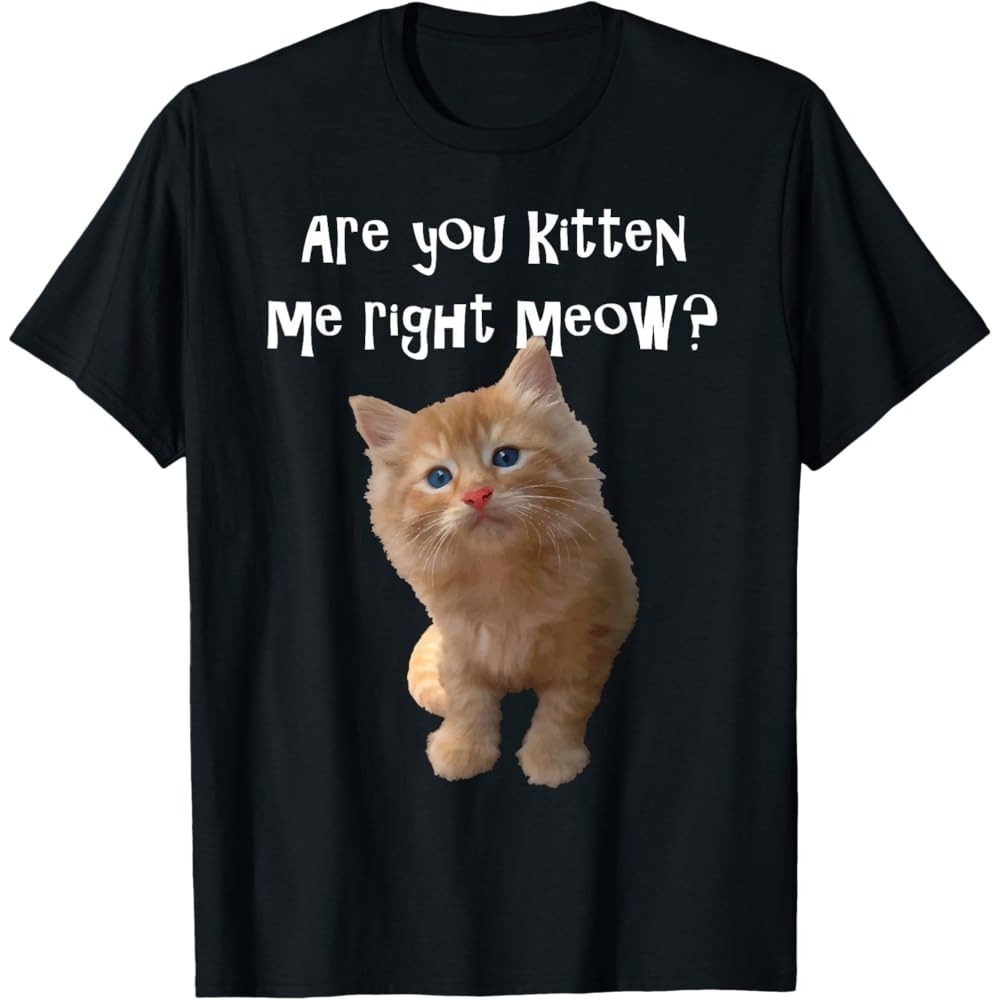 Are You Kitten Me Right Meow Funny Cat Pun Unisex T-Shirt